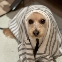 Not sure / need advices