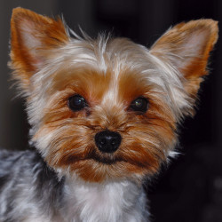 A Magic Moment session